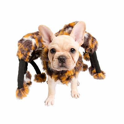 Spider Costume for Dogs Pet Clothes Pet Krewe 