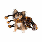 Spider Costume for Dogs Pet Clothes Pet Krewe 