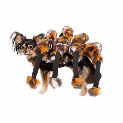 Spider Costume for Dogs Pet Clothes Pet Krewe 