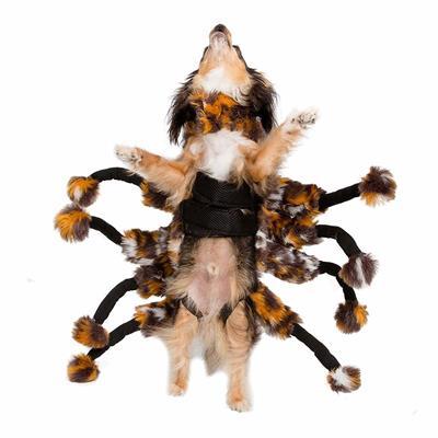 Spider Costume for Dogs Pet Clothes Pet Krewe 