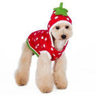 Strawberry Dog Sweater, Pet Clothes, Furbabeez, [tag]