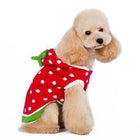 Strawberry Dog Sweater, Pet Clothes, Furbabeez, [tag]