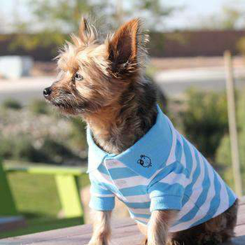 Striped Dog Polo - Blue Niagara and White, Pet Clothes, Furbabeez, [tag]