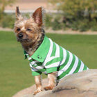 Striped Dog Polo - Greenery and White, Pet Clothes, Furbabeez, [tag]