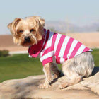 Striped Dog Polo - Pink Yarrow and White, Pet Clothes, Furbabeez, [tag]