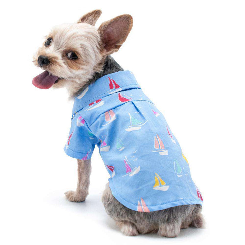 Summer Beach Dog Shirt, Pet Clothes, Furbabeez, [tag]