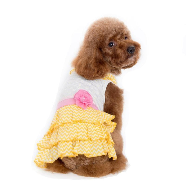 Sunshine Chevron Dog Dress Pet Clothes DOGO 