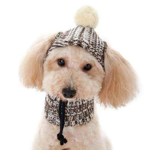 Pom Sweater Dog Hat, Pet Accessories, Furbabeez, [tag]