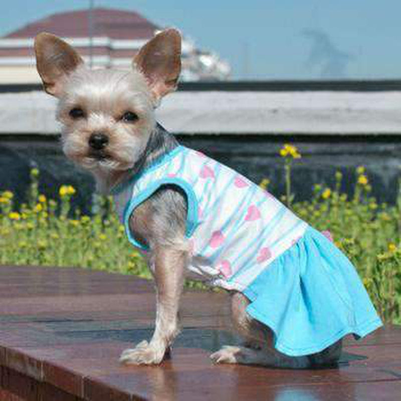 Sweet Heart Dog Dress, Pet Clothes, Furbabeez, [tag]