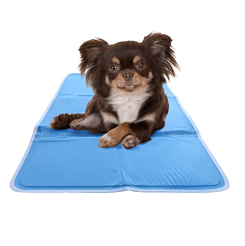 The Hugs Chillz Gel Mat Pet Bed Green Pet Shop 