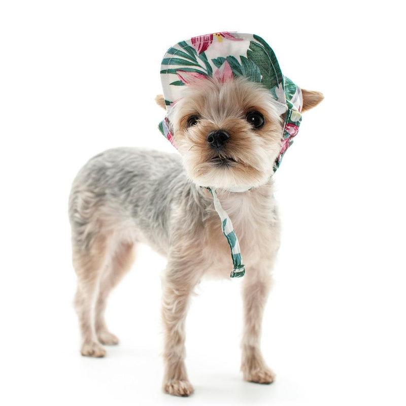 Tropical Island Dog Hat, Pet Accessories, Furbabeez, [tag]