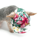 Tropical Island Dog Hat, Pet Accessories, Furbabeez, [tag]