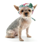 Tropical Island Dog Hat, Pet Accessories, Furbabeez, [tag]