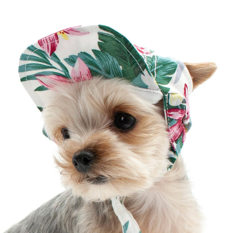 Tropical Island Dog Hat, Pet Accessories, Furbabeez, [tag]