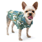 Tropical Leaf Dog Shirt, Pet Clothes, Furbabeez, [tag]