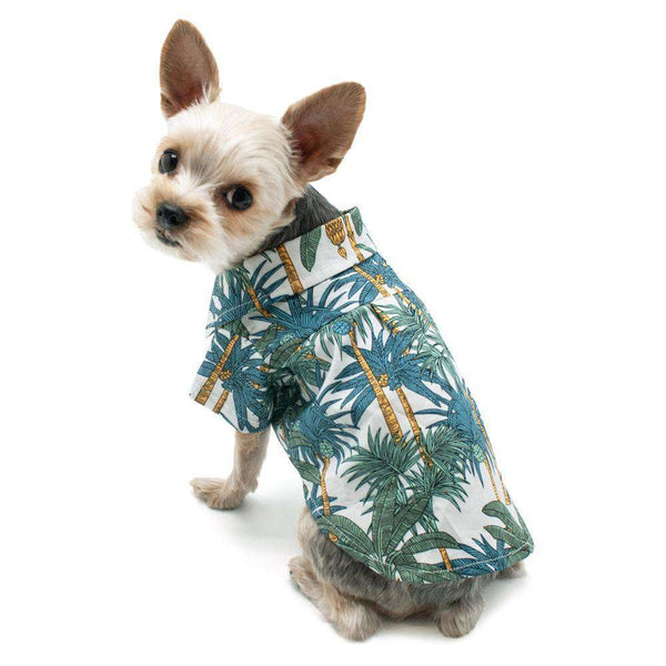 Tropical Leaf Dog Shirt, Pet Clothes, Furbabeez, [tag]