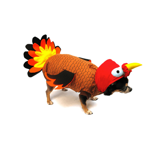 Turkey Dog Costume Pet Clothes Puppe Love 