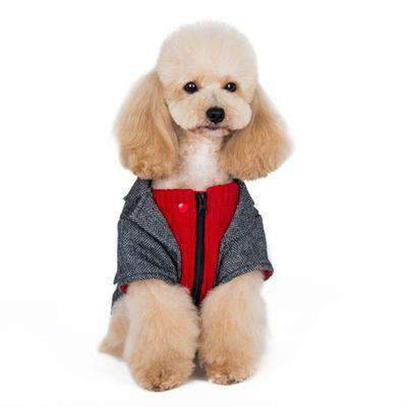Tweed Dog Blazer, Pet Clothes, Furbabeez, [tag]