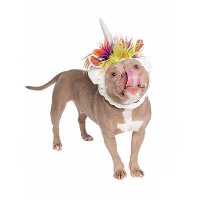 Unicorn Dog Hat Costume Pet Accessories Pet Krewe 