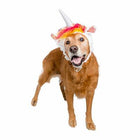 Unicorn Dog Hat Costume Pet Accessories Pet Krewe Large 