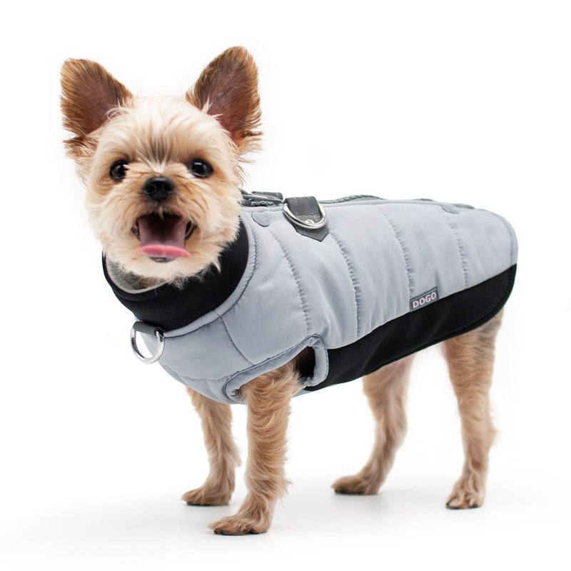 Urban Runner Dog Coat - Gray Pet Clothes DOGO 