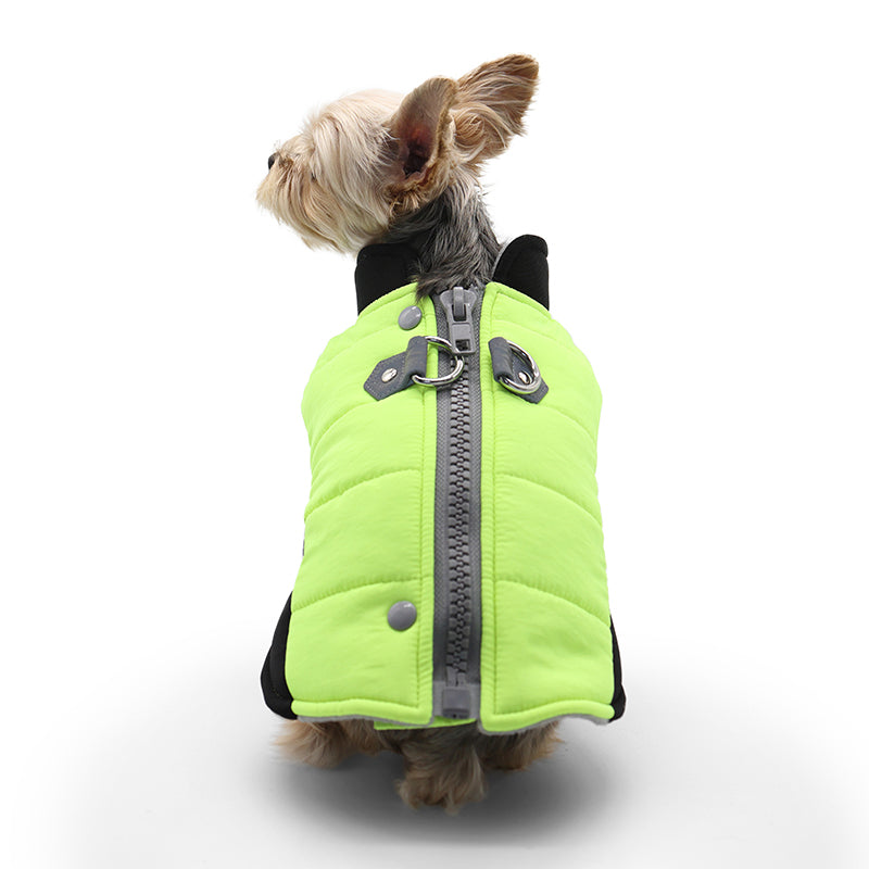 Urban Runner Dog Coat Neon Pet Clothes DOGO 