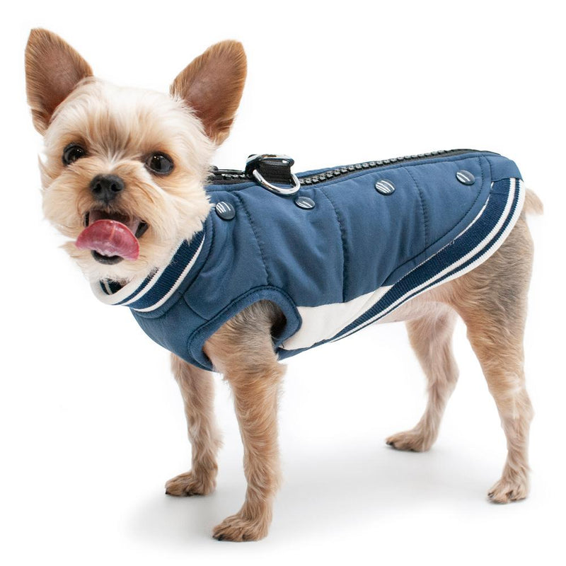 Varsity Runner Dog Coat, Pet Clothes, Furbabeez, [tag]