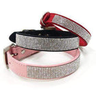 VIP Bling Collar, Collars and Leads, Furbabeez, [tag]