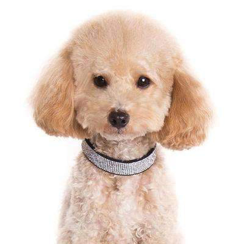 VIP Bling Collar, Collars and Leads, Furbabeez, [tag]