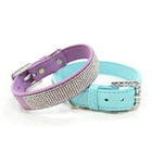 VIP Bling Collar, Collars and Leads, Furbabeez, [tag]