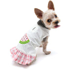 Watermelon Dog Dress, Pet Clothes, Furbabeez, [tag]