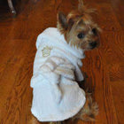 White Gold Crown Cotton Dog Bathrobe, Pet Bed, Furbabeez, [tag]