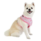Wildflower Harness Collars and Leads Puppia 