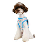 Wildflower Harness - Step-In Collars and Leads Puppia Turquoise Small 