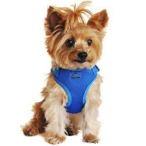 Wrap and Snap Choke Free Dog Harness - Cobalt Blue, Collars and Leads, Furbabeez, [tag]