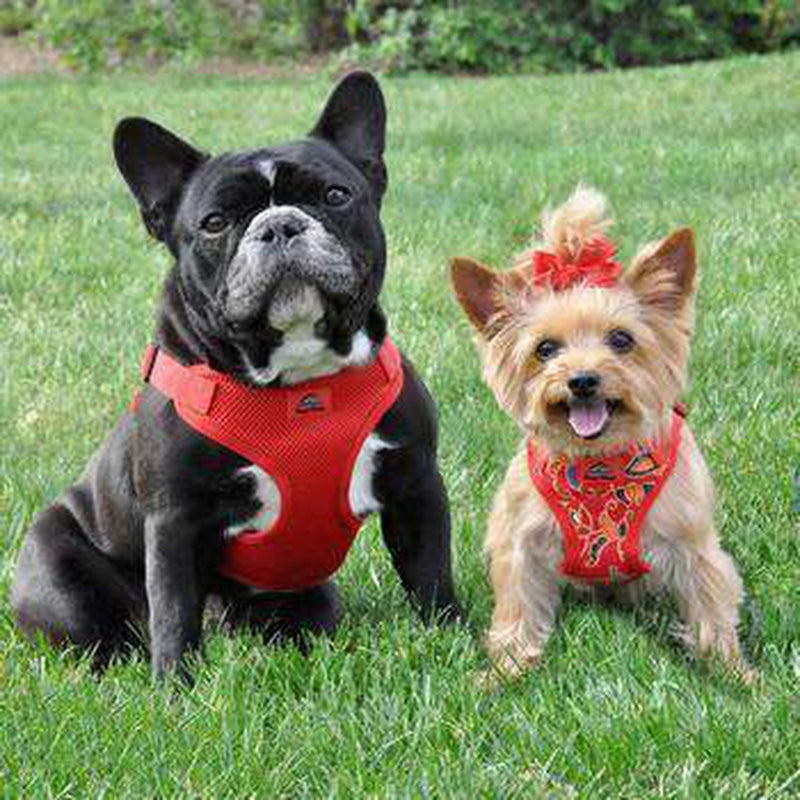 Wrap and Snap Choke Free Dog Harness - Flame Red, Collars and Leads, Furbabeez, [tag]