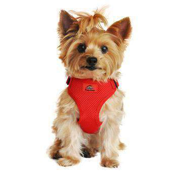 Wrap and Snap Choke Free Dog Harness - Flame Red, Collars and Leads, Furbabeez, [tag]