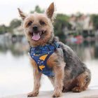 Wrap and Snap Choke Free Dog Harness - Island Sharks, Collars and Leads, Furbabeez, [tag]