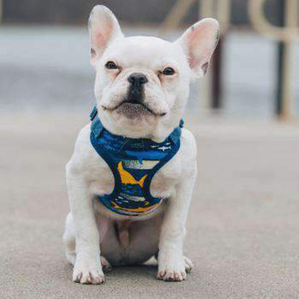 Wrap and Snap Choke Free Dog Harness - Island Sharks, Collars and Leads, Furbabeez, [tag]