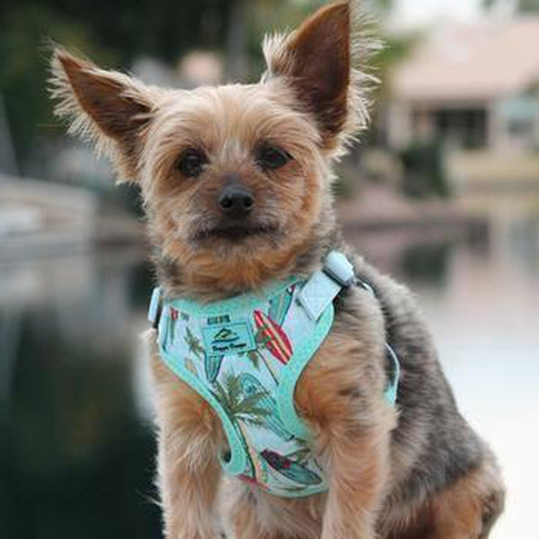 Wrap and Snap Choke Free Dog Harness, Collars and Leads, Furbabeez, [tag]